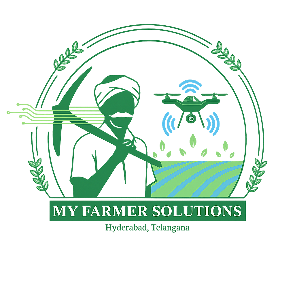 chatgpt image sep 1, 2025, 09 08 12 pm