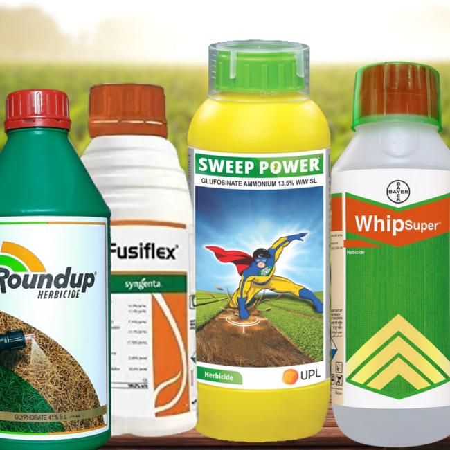 Home untitled (400 x 400 px) (1)