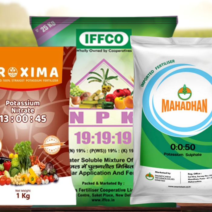 Home untitled (400 x 400 px) (2)