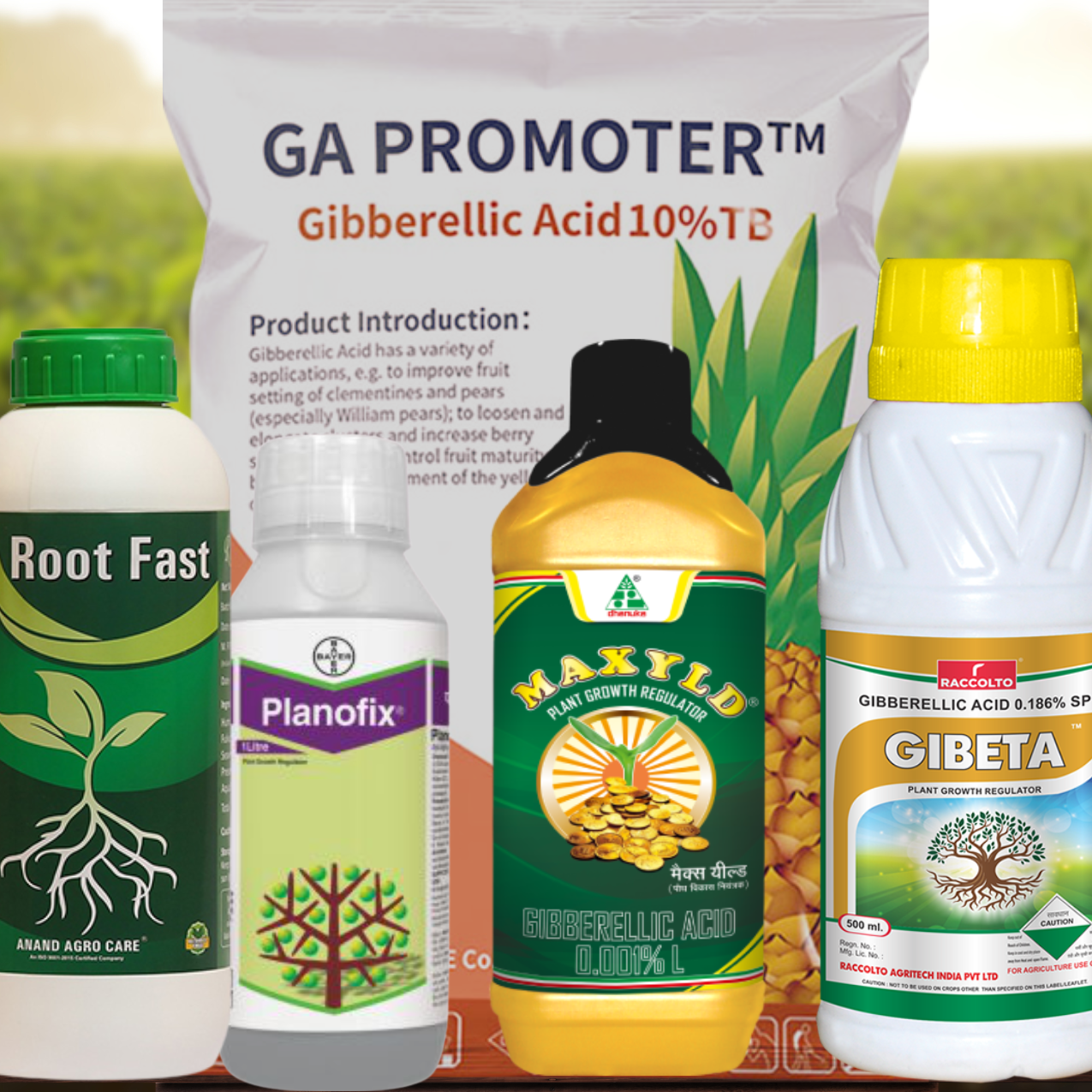 Home untitled (400 x 400 px) (600 x 600 px)