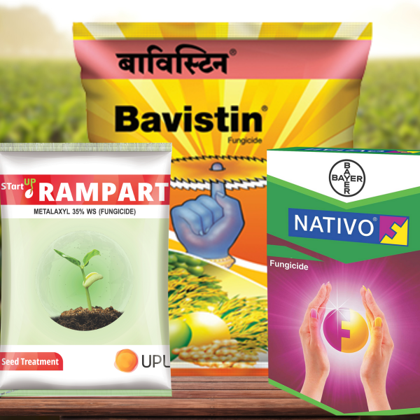 Home untitled (400 x 400 px)