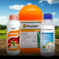 Home untitled design (53)